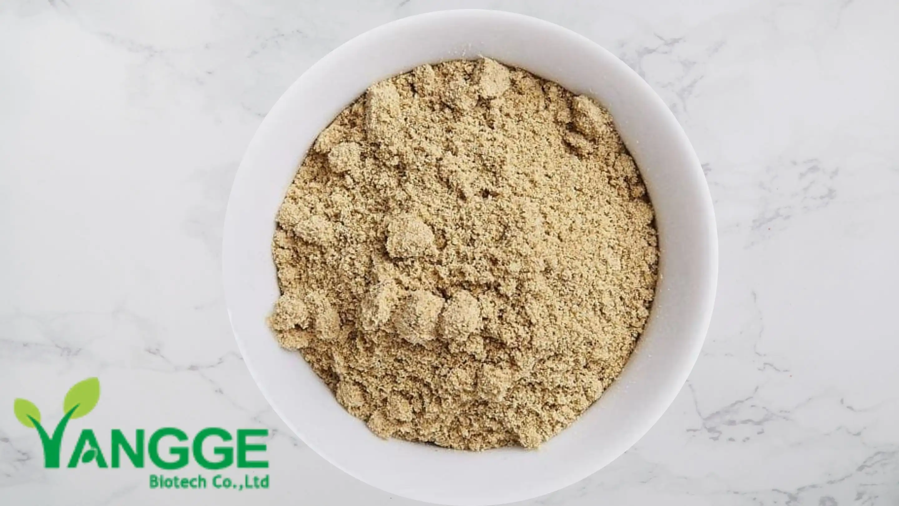 Flaxseed Protein Powder Flaxseed Protein Powder